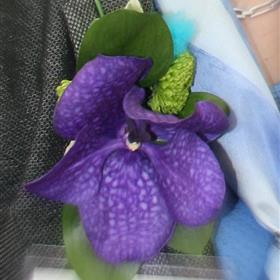 fwthumbhayle - flowers - floristry - sympathy - cornwall - gifts - send flowers today - floral delivery - -florist 608x670.jpg